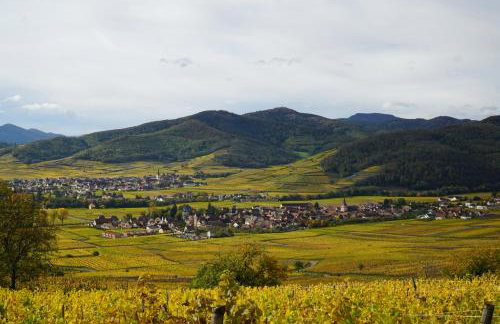 Gîte Du XVe - Photo 12