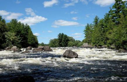 Homey Cabin Rentals Nestled in Nature along Kennebec River, Maine - Foto 17