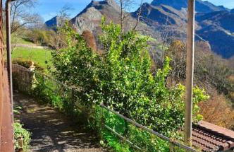 Sol de Asturias - Foto 30