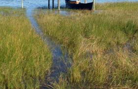 Pousada Águas de Ibiraquera Suite Master - Foto 39