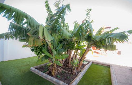 Villa Carolina with private pool - Foto 52