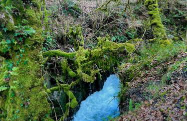 La casita de Olivia Espinaredo - Foto 72