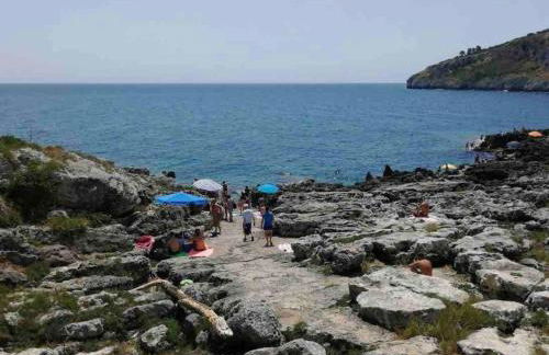 House overlooking the bay - Seaview - Foto 31