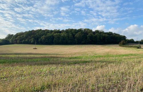 Cheerful 3 bedroom bungalow with indoor fire place - Foto 19