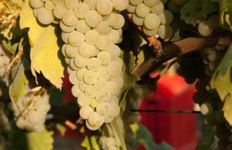 Villa Cornarea - Foto 87