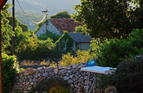 Home Sweet Home traditional Dalmatian house with pool - Photo 75