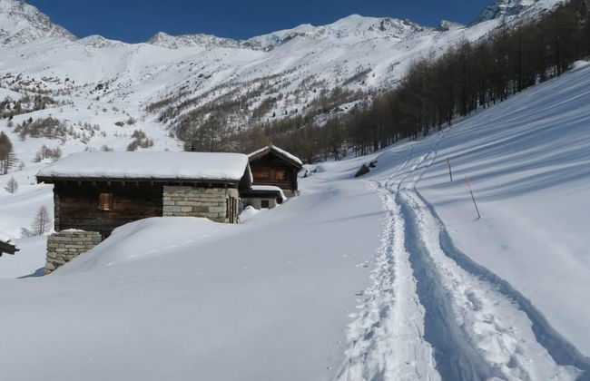 Bergfreude - Foto 70