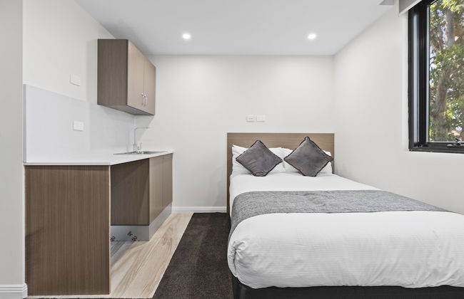 Seranin Gordon - Foto 5