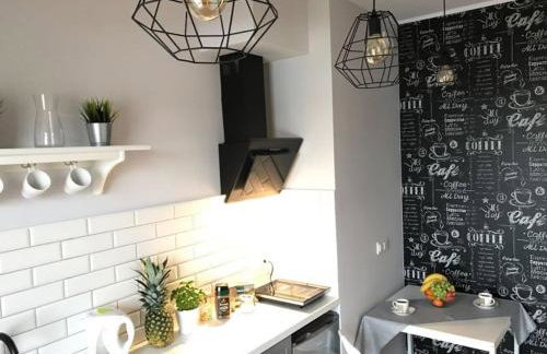 Premium Apartment - Chopin AirPort - Foto 10