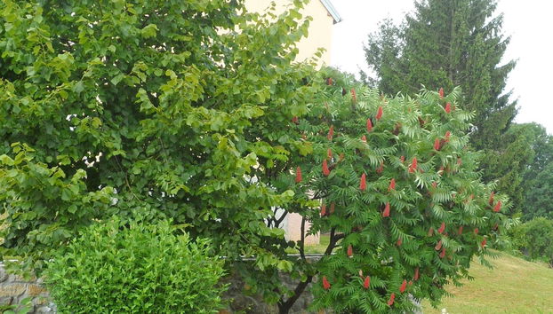 Apartments Rendulic - Foto 5