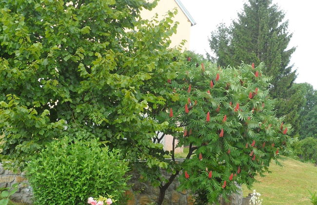 Apartments Rendulic - Foto 5