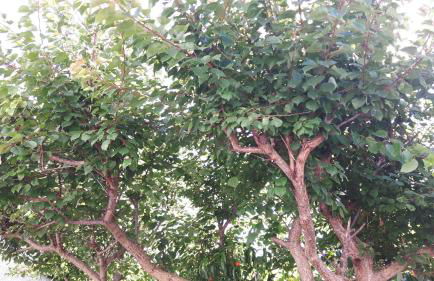 Casa Acqua Marina Ponza - Foto 14