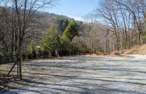 Pisgah Private Retreat Family Getaway with Hot Tub - Foto 39