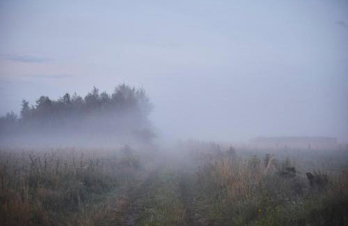 Dębinówka - Foto 13