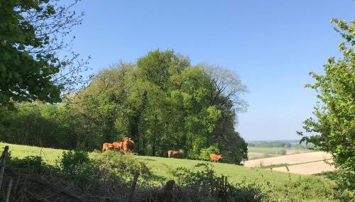 Le Hibou -1 bed Gite - Foto 2, Garden view