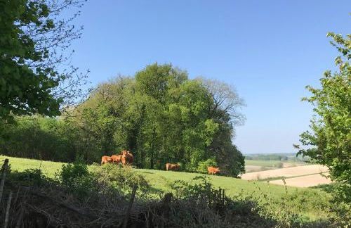 Le Hibou -1 bed Gite - Foto 2