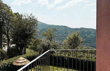 Casa das Castanhas - Cinfães, Viseu - Foto 37