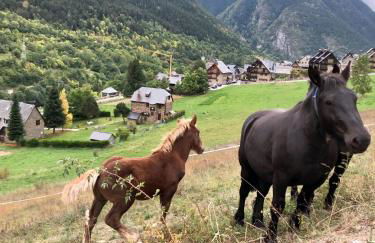 Espacioso ap en Gessa - Foto 24
