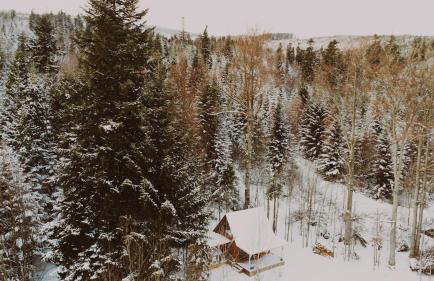 Domki pod Halą Krupową - Chata na szlaku - Foto 12