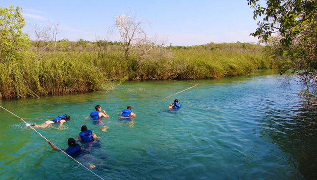 Discovering the underwater beauty of the Formoso River