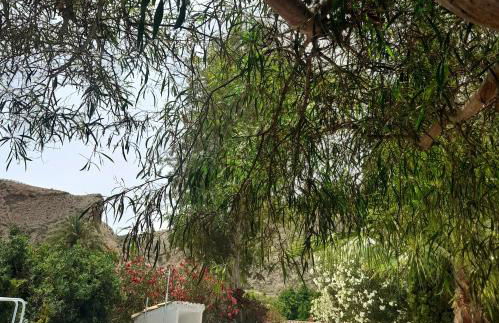 La Joya del Valle de Ricote - Foto 78