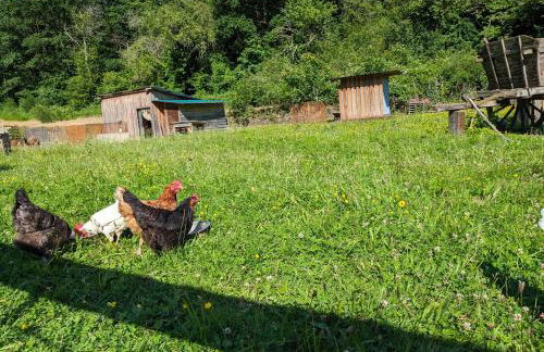 Au Ptit Bonheur De La Semoy - Foto 29