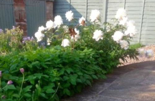 OLD CHAPEL Hayton Cumbria CA89HR - Foto 44