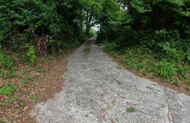 Katafigio Home in Tsagkarada Village - Foto 39