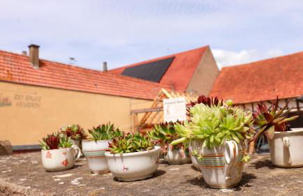 Biobauer Heubach - Foto 19