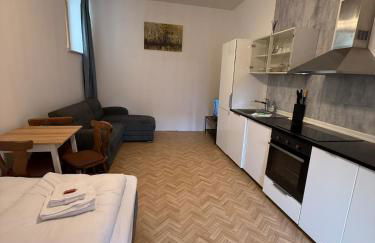 Gasthof zum goldenen Schiff - Budgetwohnung im Hotel - Foto 1