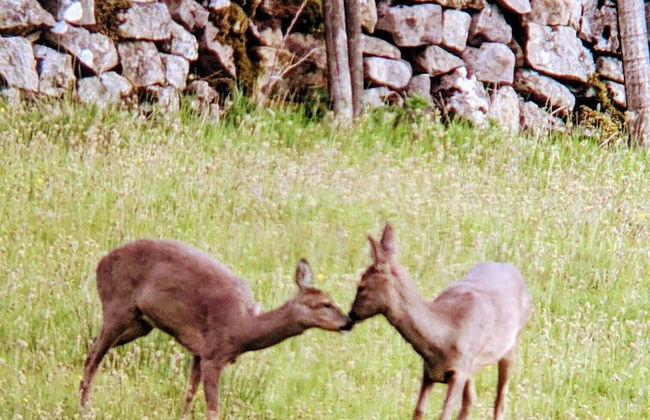 Nethergill Haylofts - Foto 15