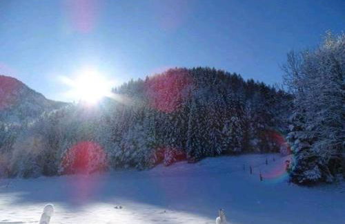 Ferienwohnung Frieda - Foto 27