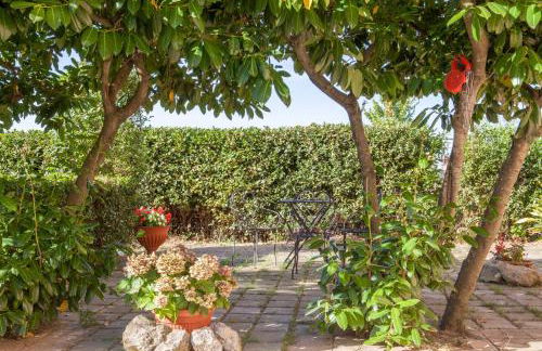 Artisti del Cavallo Tourism - Photo 30