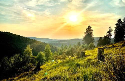 Stilvolle Penthouse mit großzügiger Sonnenterrasse - Foto 31