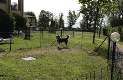 Residence Karina - Foto 7