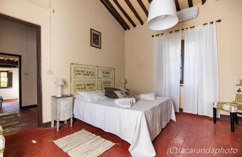 Villa la Pieve - Foto 29