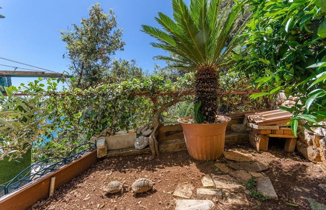 Bosiljka - by the sea - SA3 - Foto 9