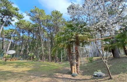 Villa Barbara Fra i Pini - Foto 49