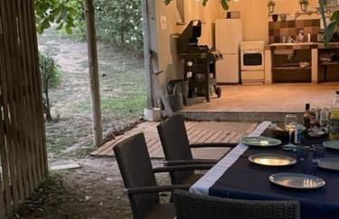 Mas de Barthe Avignon, Ile de la Barthelasse - Foto 7