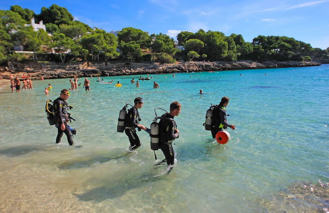 Aparthotel Niu d´Aus - Photo 33