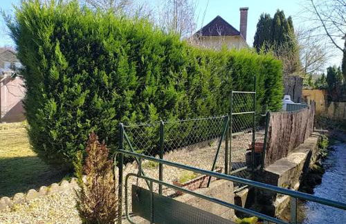 La Petite Venise - Foto 9