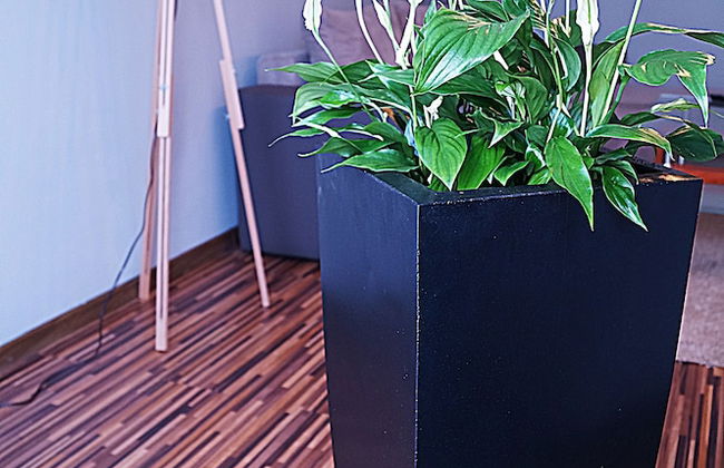 Apartamenty Centrum - Photo 4