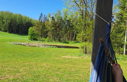 Leśny Reset - Foto 53