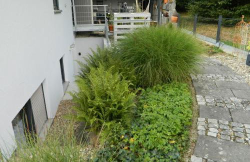 Helle 45 qm Einliegerwohnung - Foto 7