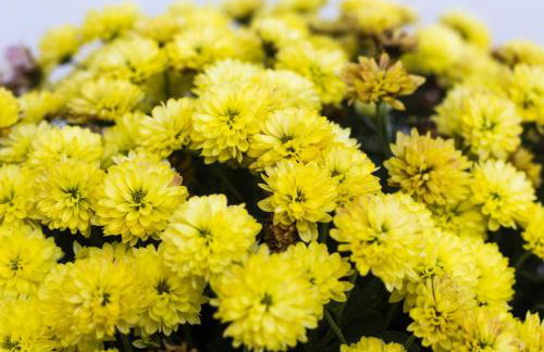 Auszeit-Wohnungen - Foto 40