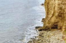 Coastal Apartments No 1 - Photo 67