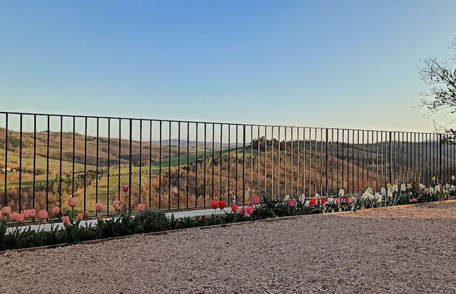 Agriturismo Casa Greppo - Il Mandorlo - Foto 34