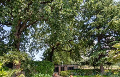 Conti Beccaris Castle by Rental in Rome - Foto 22