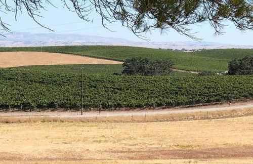 A Cozy Loft in Templeton - Foto 27