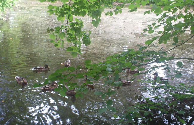 Charming Retreat, Ballenstedt - Photo 27